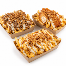 LOADED FRIES